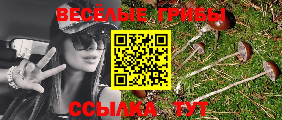 Псилоцибиновые грибы ЛСД  Псилоцибиновые грибы MAGIC MUSHROOMS  Сунжа  закладки  Вход с VPN 