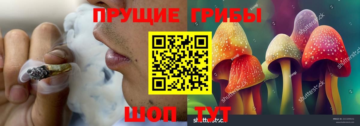 Галлюциногенные грибы Cubensis Сунжа