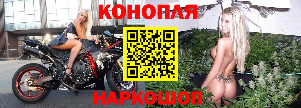 Марихуана SATIVA & INDICA  Вход с VPN  Сунжа  МАРИХУАНА сатива 